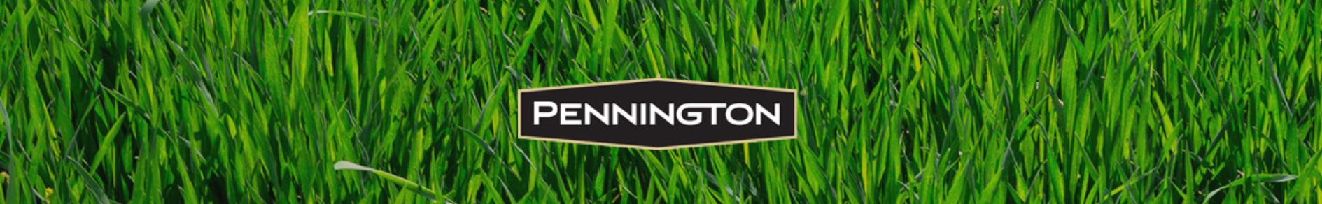 SeedRetag Header Image
